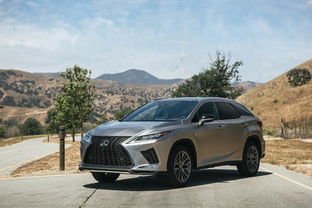 2022款rx300雷克萨斯_雷克萨斯rx3002020款--第1张