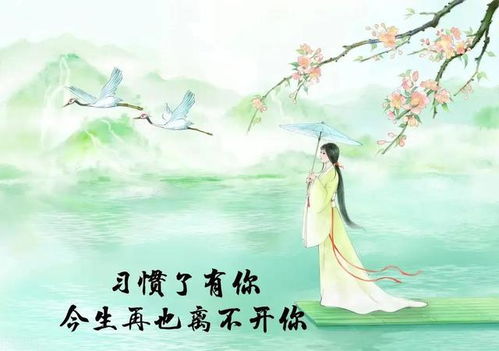  热播短剧南有乔木北有相思爱你千万次在线免费观看全集，南有乔木北有相思，爱你，千万次，全集免费在线观看--第1张