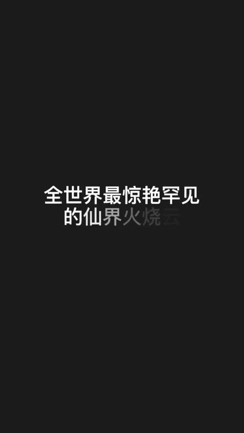  人间皆是浪漫，浪漫无处不在--第1张