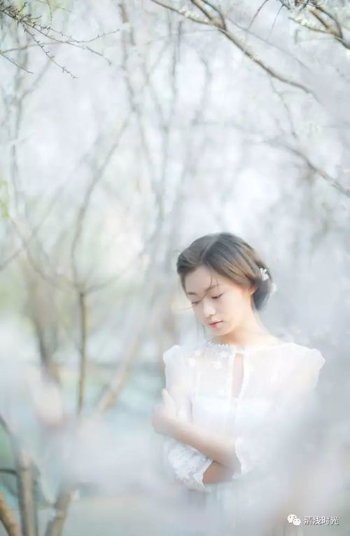  陌上故人归，一部热播短剧的深情与感动，陌上故人归，深情短剧的感动之旅--第1张