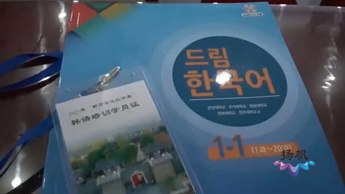  热播短剧怦然婚动在线免费观看全集，免费在线观看短剧怦然婚动全集--第1张