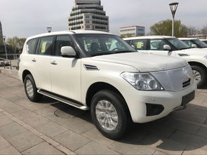 尼桑suv2022款报价及图片_尼桑suv2021款报价及图片--第1张