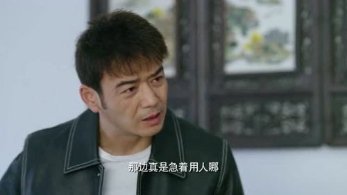  热播短剧我的豪横婆婆在线免费观看全集，豪横婆婆的甜蜜日常免费观看--第1张