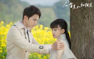  向阳而生欣然归来——热播短剧免费在线观看全集，向阳而生，全集免费在线观看--第1张