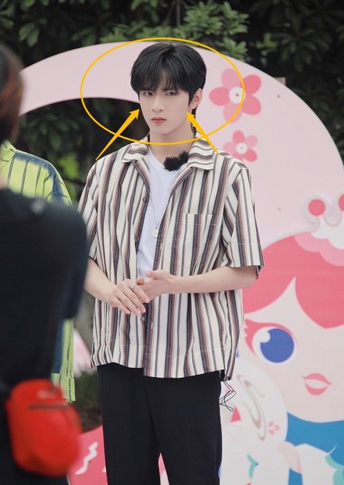  热播短剧前妻太招摇程总别撩了在线免费观看全集，程总追妻火葬场，前妻，太招摇了--第1张