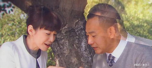  月中在线，热播短剧免费全集在线观看，月中在线，热播短剧全集免费在线观看--第1张