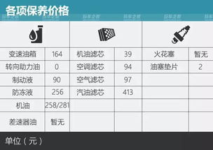 汽车常规保养项目表_汽车常规保养项目表图片--第1张
