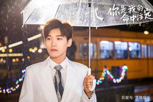  闪婚幸运草的命中注定，热播短剧，在线免费观看全集，命中注定，闪婚幸运草的全集免费观看--第1张