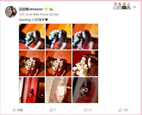  热播短剧玫瑰冠冕在线免费观看全集，热播短剧玫瑰冠冕全集免费在线观看，揭秘浪漫爱情故事--第1张