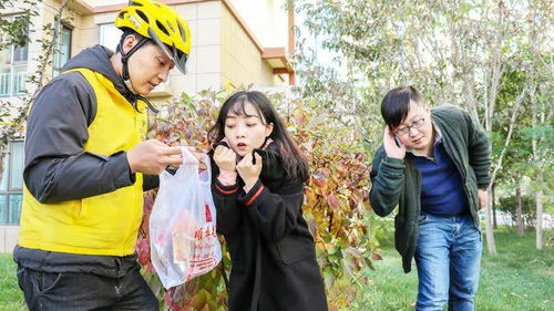  女儿国外卖小哥在线免费观看全集，一部热播短剧的魅力之旅，女儿国外卖小哥，一部短剧的魅力之旅--第1张
