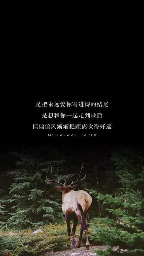  放弃所有拥抱你卢c鹿鹿在线免费观看全集，放弃所有拥抱你鹿c鹿鹿在线免费观看全集免费在线观看--第1张