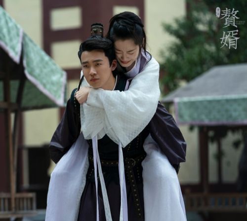 赘婿无双大结局剧情简介_赘婿无双大结局剧情简介分集--第1张