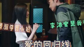  热播短剧女王在线免费观看全集，热播短剧女王，免费在线全集观看--第1张