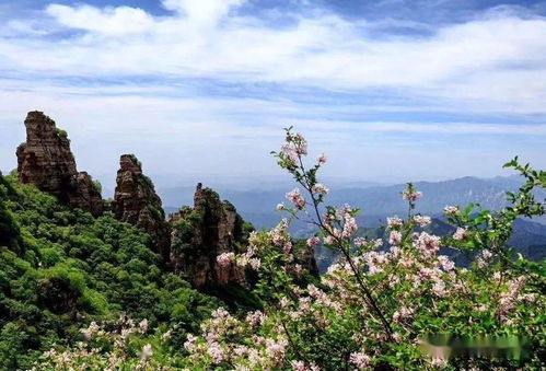  绝代在线免费观看全集——热播短剧的魅力之旅，绝代在线免费观看全集，短剧的魅力之旅--第1张
