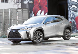 雷克萨斯suv25万左右车_雷克萨斯25万价格--第1张