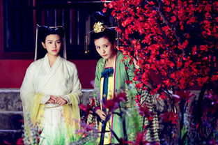  热播短剧绝世狂枭逆天神婿在线免费观看全集，绝世狂枭，逆天神婿免费在线观看全集--第1张