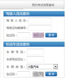 河南机动车违章查询系统_河南机动车违章查询系统官网--第1张