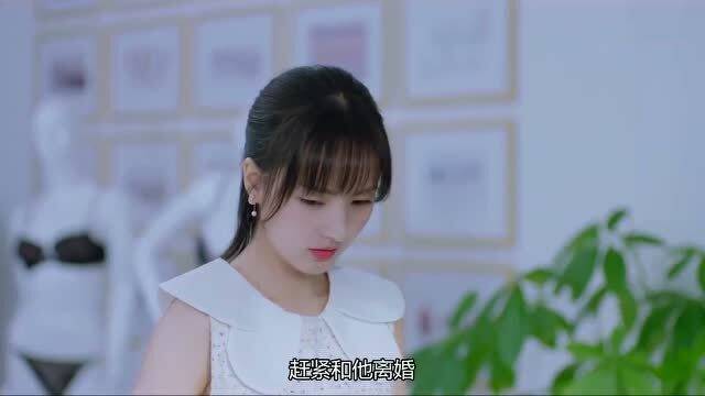  离婚后我继承了家业在线免费观看全集，离婚后我继承了家业免费全集观看--第1张