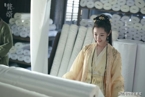 第一赘婿赵苍穹大结局_第一赘婿主角女人分别是--第1张