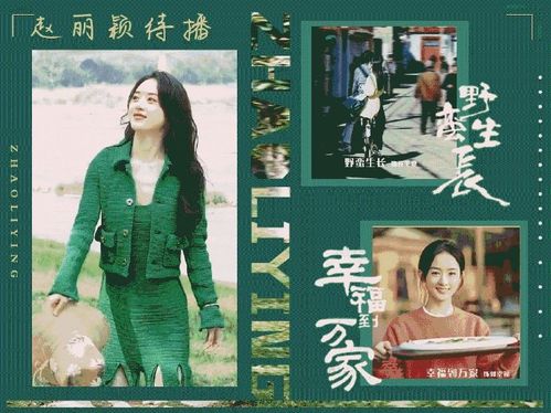  热播短剧复仇我碾压一切婚闹当天我跳桥重生在线免费观看全集，重生复仇，当天我跳桥，婚闹碾压后全集免费观看--第1张