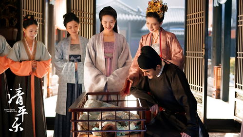  热播短剧风流太子爷在线免费观看全集，风流太子爷，全集免费在线观看--第1张