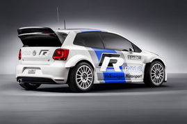 wrc拉力赛车所有车型_wrc拉力赛车所有车型玩具--第1张