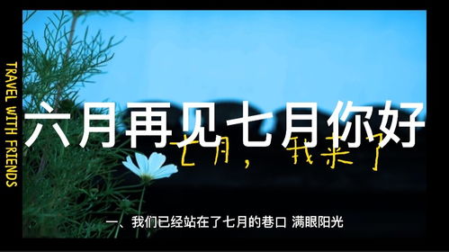 六月再见_六月再见的文案--第1张