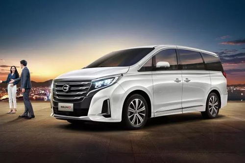 7座汽车_广气传奇7座汽车--第1张