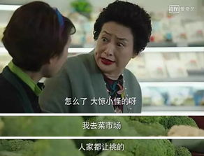  热播短剧失忆后我被四个男人疯抢在线免费观看全集--第1张