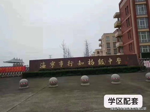  热播短剧超级兵P痞在线免费观看全集--第1张