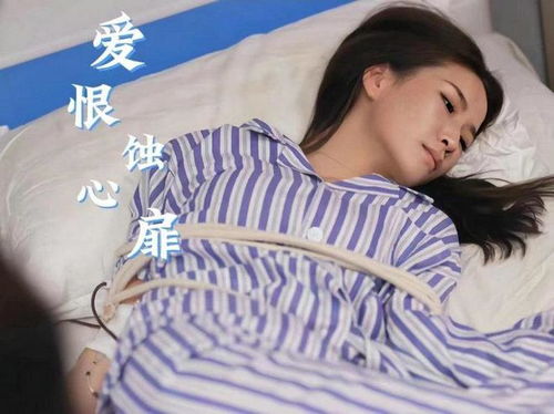  热播短剧陆总别虐了夫人快死了在线免费观看全集，陆总别虐了，夫人快死了免费观看全集--第1张