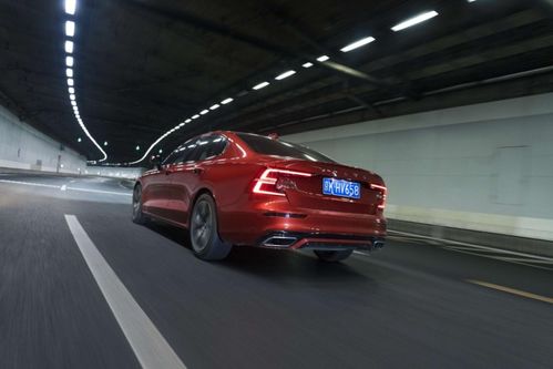 枭龙无双，一部热播短剧的魅力与在线免费观看全集的体验，枭龙无双，一部短剧的魅力与免费观看的在线体验--第1张
