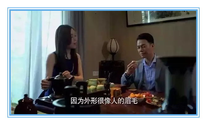  热播短剧龙爸风云在线免费观看全集--第1张
