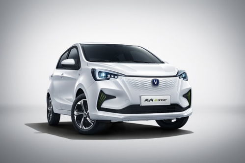 长安奔奔电车价格及图片_长安奔奔电动汽车2021年新款--第1张