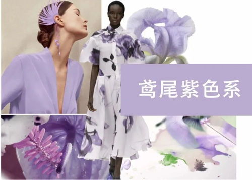  紫气东来，一部热播短剧的魅力与在线免费观看全集的惊喜--第1张