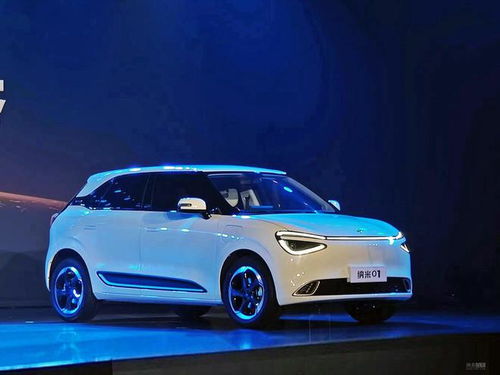 纯电动小型车_纯电动小型车哪个品牌质量好--第1张