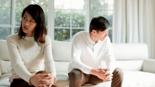  离婚后前妻跪求复合，在线免费观看全集--第1张