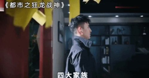  热播短剧新狂龙战神在线免费观看全集--第1张