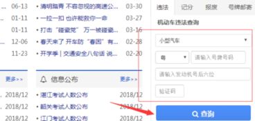 如何查车辆违章_交管123如何查车辆违章--第1张