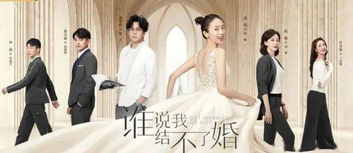  离婚吧！三个师姐等着你，长篇在线免费观看全集--第1张