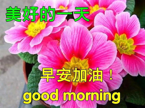  热播短剧厉总先动的心在线免费观看全集--第1张
