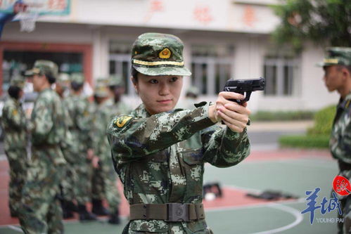  热播短剧护国利剑在线免费观看全集--第1张