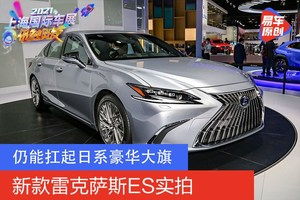 凌志面包车报价及图片_凌智面包车图片--第1张