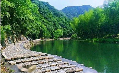  热播短剧我帮财神渡情劫在线免费观看全集，财神渡情劫，全集免费在线观看--第1张