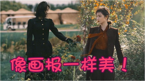  热播短剧被贬凡尘我靠鉴宝回天庭在线免费观看全集--第1张