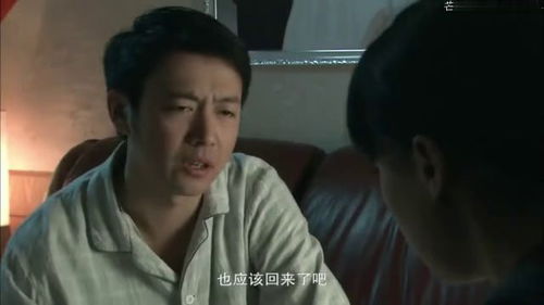  热播短剧新婚夜，被老婆送进牢房在线免费观看全集--第1张