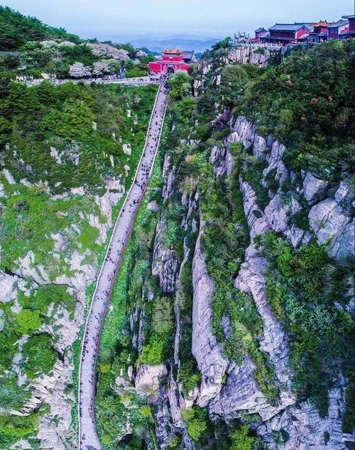  暗恋你的微笑王子怡在线免费观看全集——一部热播短剧的魅力之旅--第1张
