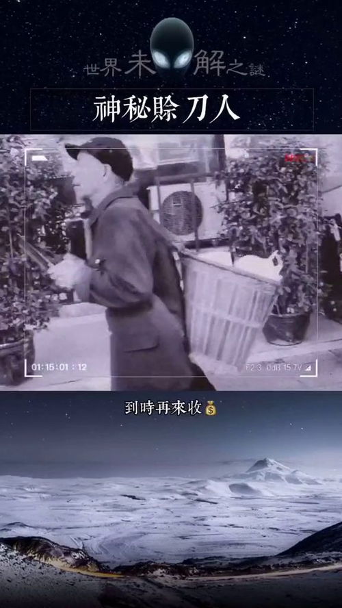  全球大佬欠我赊刀债，热播短剧在线免费观看全集--第1张