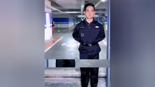  热播短剧保安叶凡在线免费观看全集--第1张