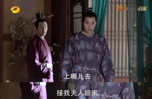  热播短剧逃婚夫妇又掉马甲了在线免费观看全集，逃婚夫妇的秘密马甲又曝光了，全集免费在线观看--第1张